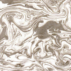 Photographic Evidence